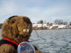 Marmotte au pays d'Ikea 100_7738.JPG