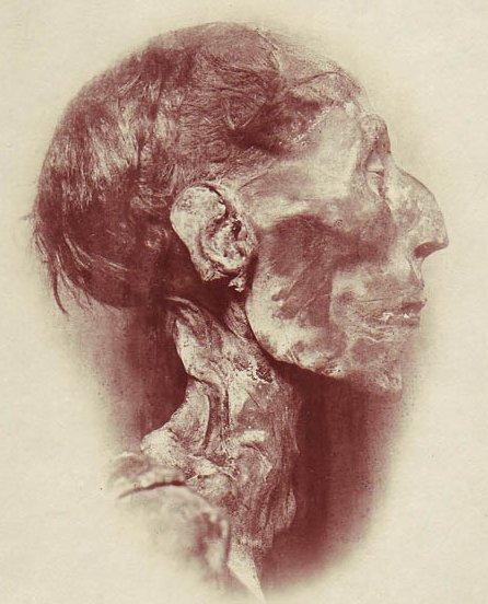 Profil de la tête de la momie de Ramsès II (Wikipedia : Cliché de l'égyptologue Emile Brugsch) Momie-de-Ramses-II.jpg