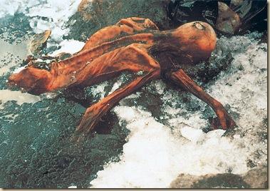 oetzi_découvert_dans_la_glace