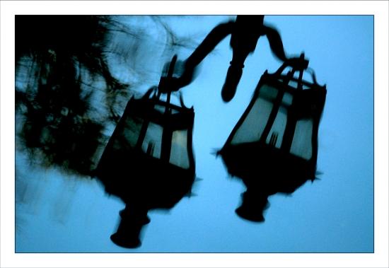 Photos de février Jardins de la Fontaine Nîmes