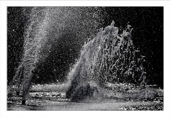 Photos de février Jardins de la Fontaine Nîmes