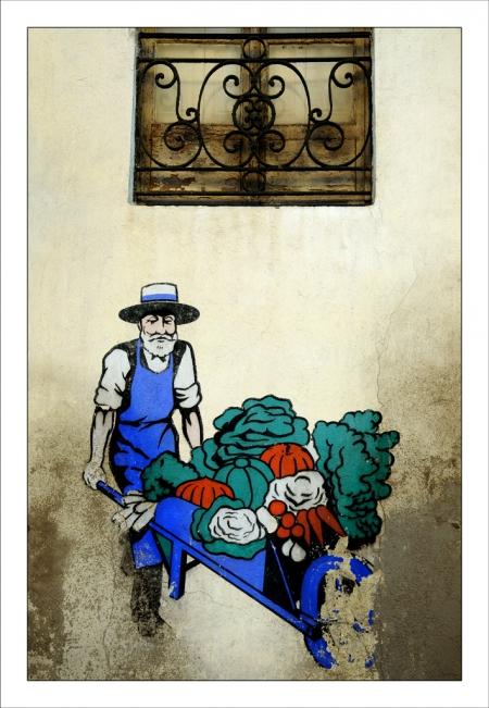 Photos de février Nîmes Jardinier