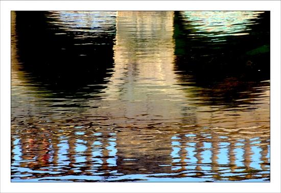 Photos de février Jardins de la Fontaine Nîmes