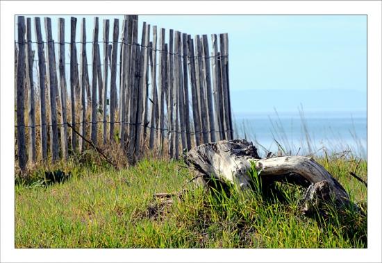 Photos de février Ganivelles Grau du Roi