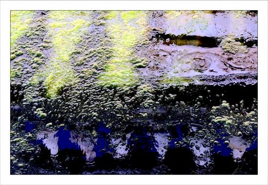 Photos de février Jardins de la Fontaine Nîmes