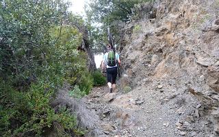 La Llentilla, és valida La Llentilla, és valida