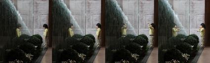 reflections reflections