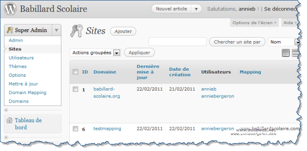 WordPress Multisites mapping domain gestion