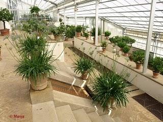 L'orangerie royale L'orangerie royale