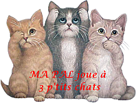 3 petis chats2