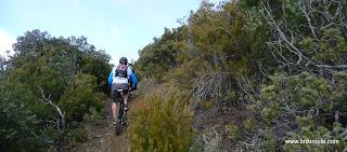 També és validat... També és validat...