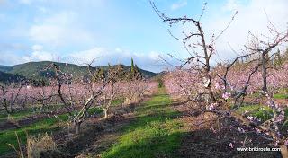 També és validat... També és validat...