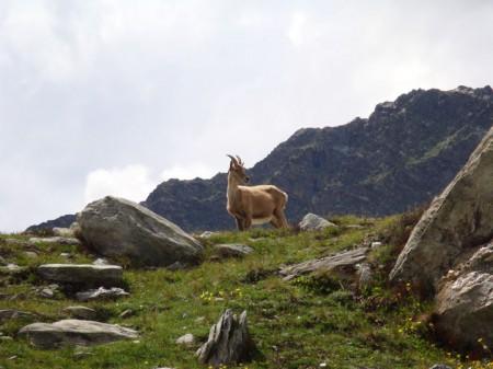 DSC00739 The North Face Trails de la Vanoise – Présentation