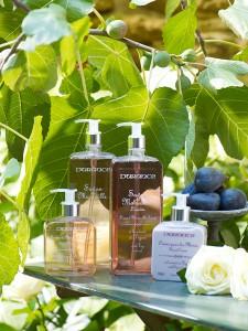 trad Marseille-004 Fée du logis