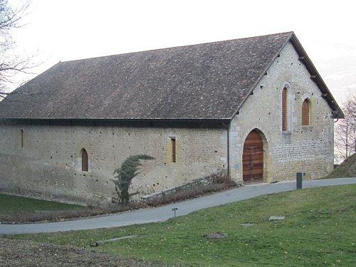 L-Abbaye-d-Haute-combe-0047.JPG