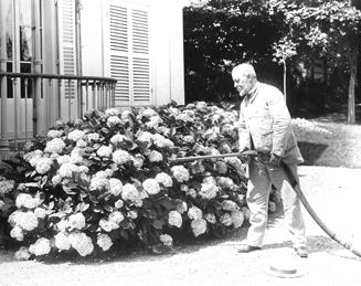 Dans l’intimité des frères Caillebotte – Peintre et photographe - au Musée Jacquemart-André martial-caillebotte-camille-minoret-arrosant-des-hortensias.1298950008.jpg