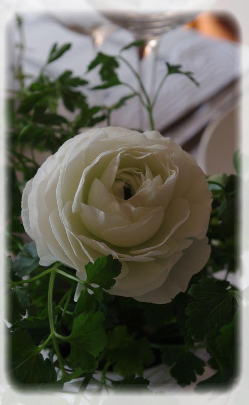 Un diner printanier en blanc.... blanche_bleue_026_modifi__1