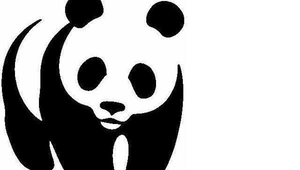 wwf Le football continue sa poussée verte…