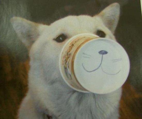 Des soirées branchées qui ont du chien..... 67843_172311689466915_169749026389848_410873_4842319_n.jpg