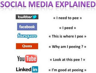 Les réseaux sociaux pour les nuls Les réseaux sociaux pour les nuls