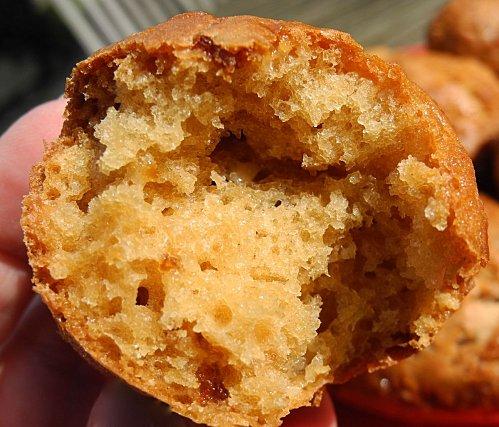 blog muffins abricots 1