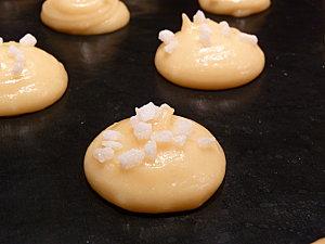 Chouquettes P1040504.JPG