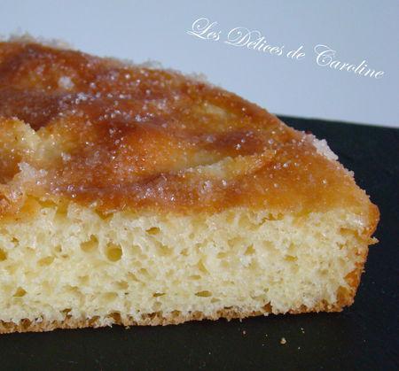 Gâteau brioché au sucre DSC04224