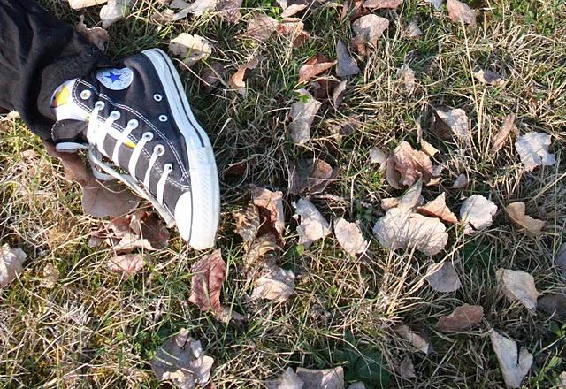 LA VIE EST BELLE LA VIE EST BELLE