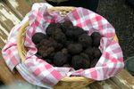 truffes1