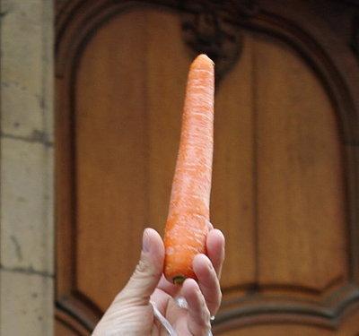 D'abord la carotte et ensuite le bât .......