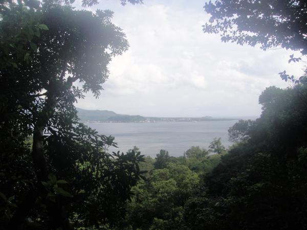 2jf-Kagoshima