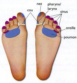 réflexologie pour le rhume 