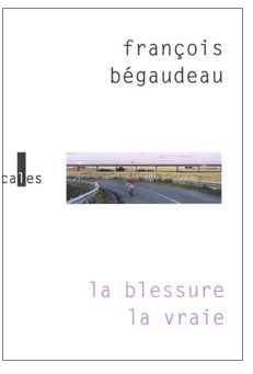 François Bégaudeau : l'écrivain qui sème le doute