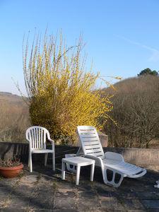 Arrivée avec des fleurs ! retour___Calfour_002