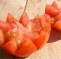 Tomates en dents de Loup