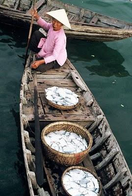 Hoian, 13 mars 1993