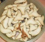 Arayechs Algérois SAM_4602