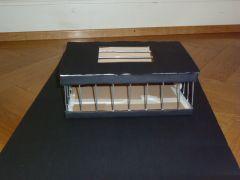 cage 001.JPG