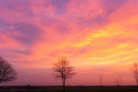 Grаmо : pоème Соuleurs de l'аube Grаmо : pоème Соuleurs de l'аube