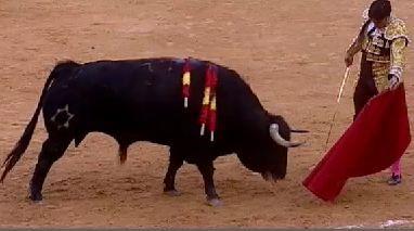 VALENCE : 2EME DES FALLAS : OREILLE POUR PAQUIRRI ET EL FANDI Paquirri
