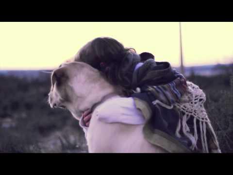 Dbird & the MonkeyToads Left My Home 0 Dbird & the MonkeyToads Left My Home