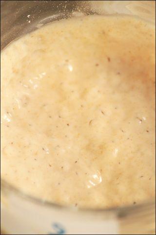 Khéops, levain farine semi-complète
