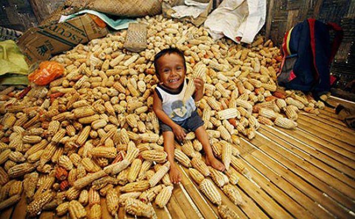 L’homme le plus petit du monde (Re-New) L’homme le plus petit du monde (Re-New)