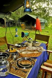 safari-famille-masai-mara-voyage-kenya-luxe-a Bivouac privé de luxe au Kenya