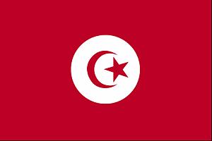 tunisian-large-flag-ts.gif