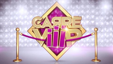 Carré Viiip bientôt sur TF1 ... une anonyme révélée Carré Viiip bientôt sur TF1 ... une anonyme révélée