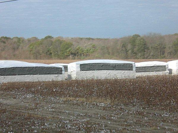 QC-FL jour 6 CIMG4864.JPG