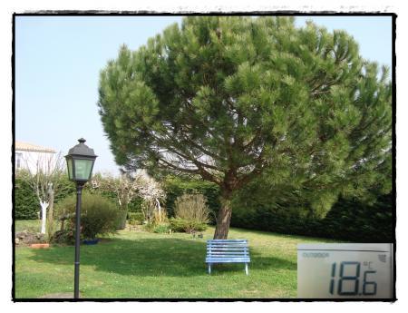 La douceur.... 16 mars 2011 La douceur.... 16 mars 2011