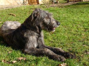 Par une belle matinée d'hiver floby