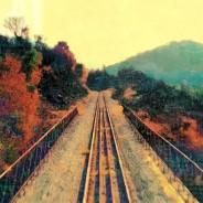 Festival Traverse Vidéo 14ème édition Festival Traverse Vidéo 14ème édition